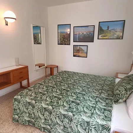 Bouganville En Eureka