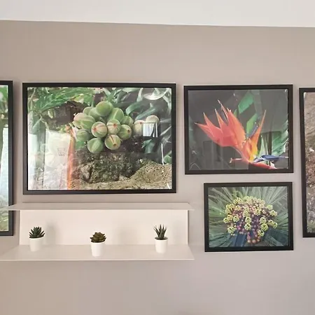 Apartment Bouganville En Eureka Costa Del Silencio