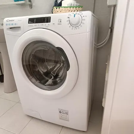 Bouganville En Eureka