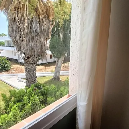 Bouganville En Eureka Costa Del Silencio