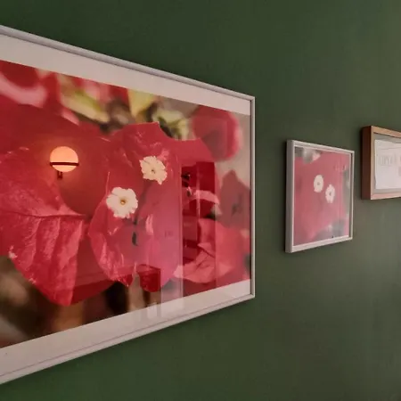 Apartment Bouganville En Eureka