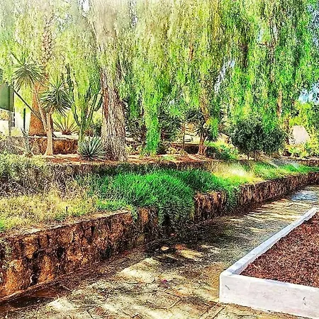 Bouganville En Eureka